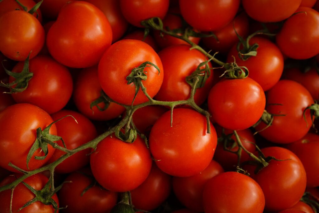 Tomato Reduce Inputs and Enhance Output – Span|{p}Significant dosage reduction across seventeen chemicals.{/p}|{p} Increase in yield and profits per hectare.{/p}|{p}Increase in BRIX level of tomatoes{/p}