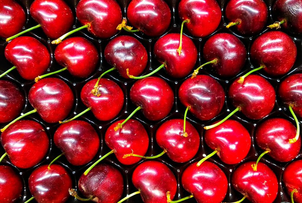 Cherries_Enhance Yield & Quality – Australia|{p}Family-run cherry orchards in Wombat, NSW.  {/p}|{p}Improved total yield and 1st-grade output{/p}